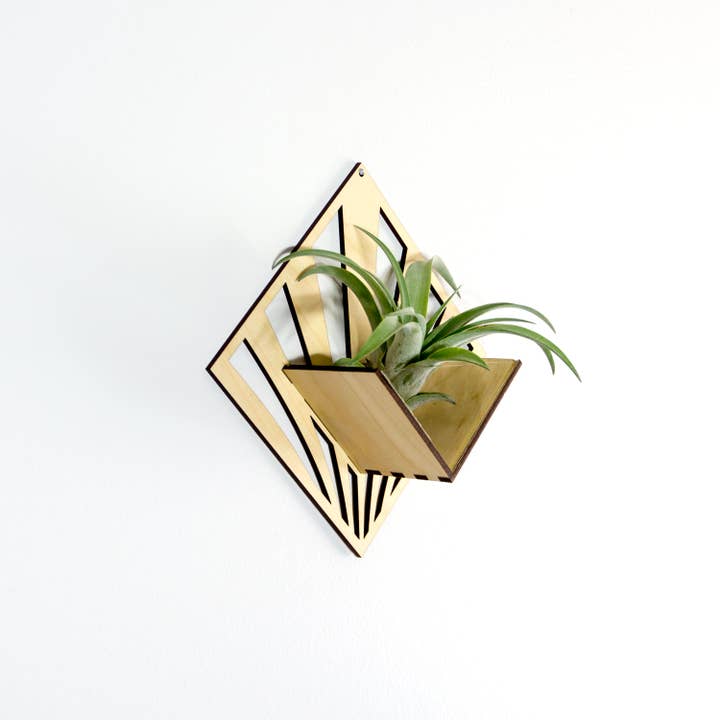 LIGHT RAZOR DESIGN STUDIO - Wholesale Wall planter - Air Plant Holder / Quadrate Wall Hanging Planter 2109