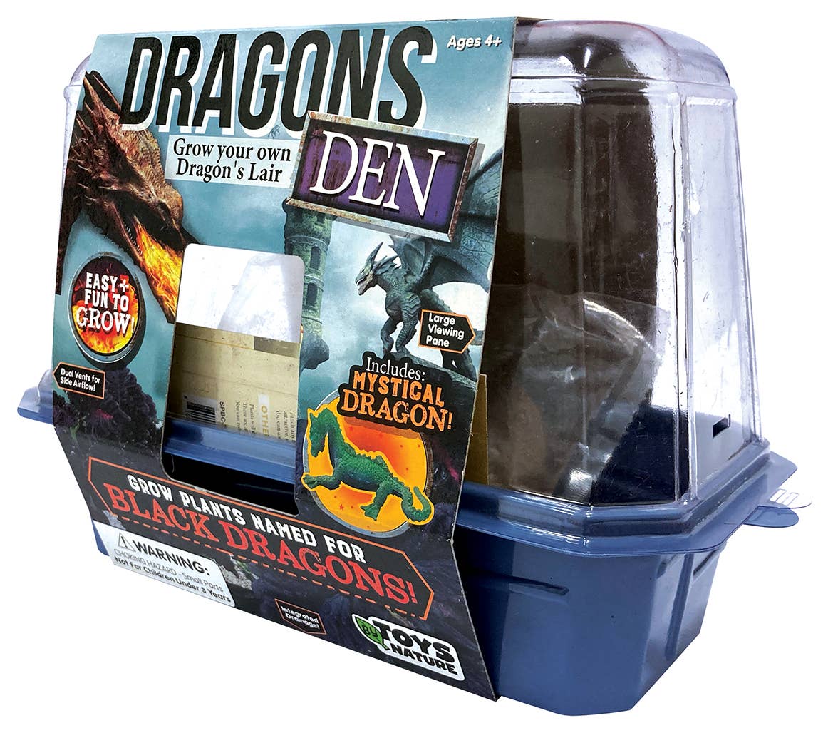 Silver Circle Products - Wholesale DIY Craft Kit - Kids - Dragon's Den Mini World Terrarium4