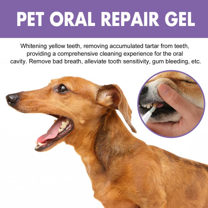 VIGOR – wholesale Pet supplement – Cat/dog – Pet Oral Repair Gel - 100% Natural Deep Cleansing Care3