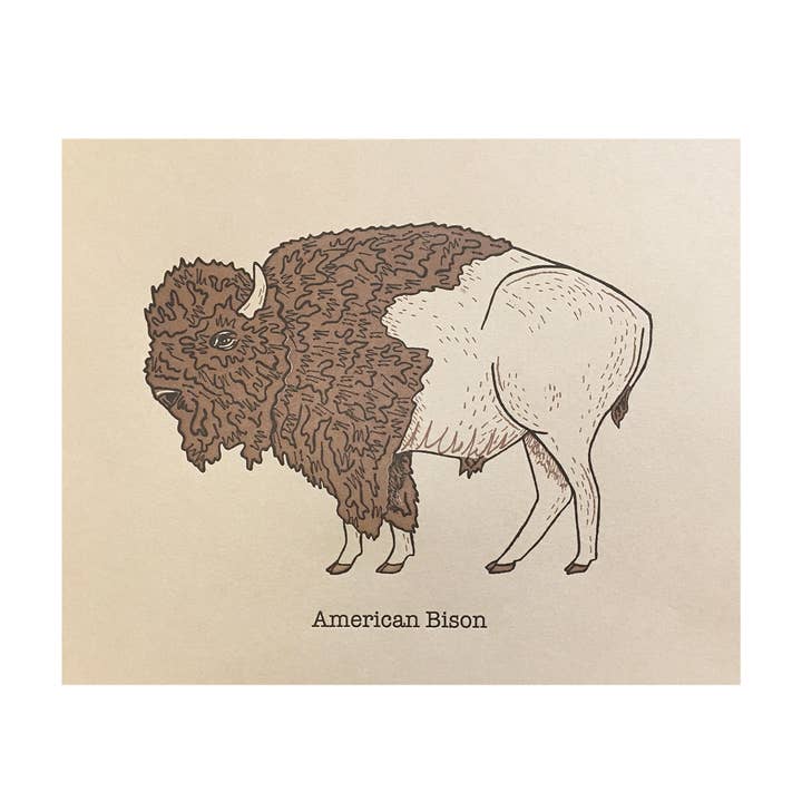 American Bison Art Print for wholesale by Noteworthy Paper & Press