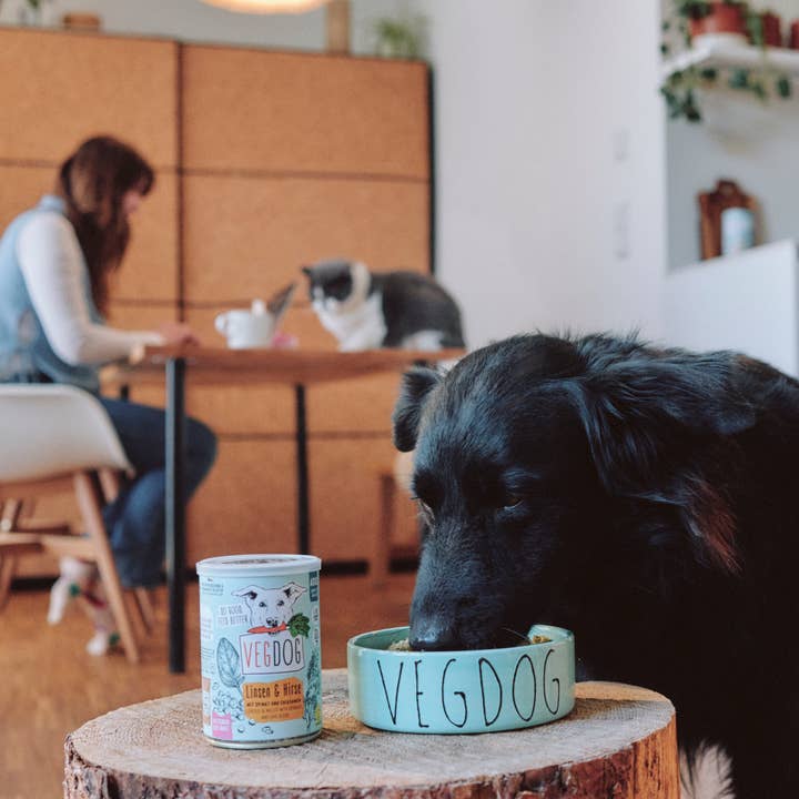 VEGDOG - Vente Nourriture – chien - Lentilles et millet pour adultes
