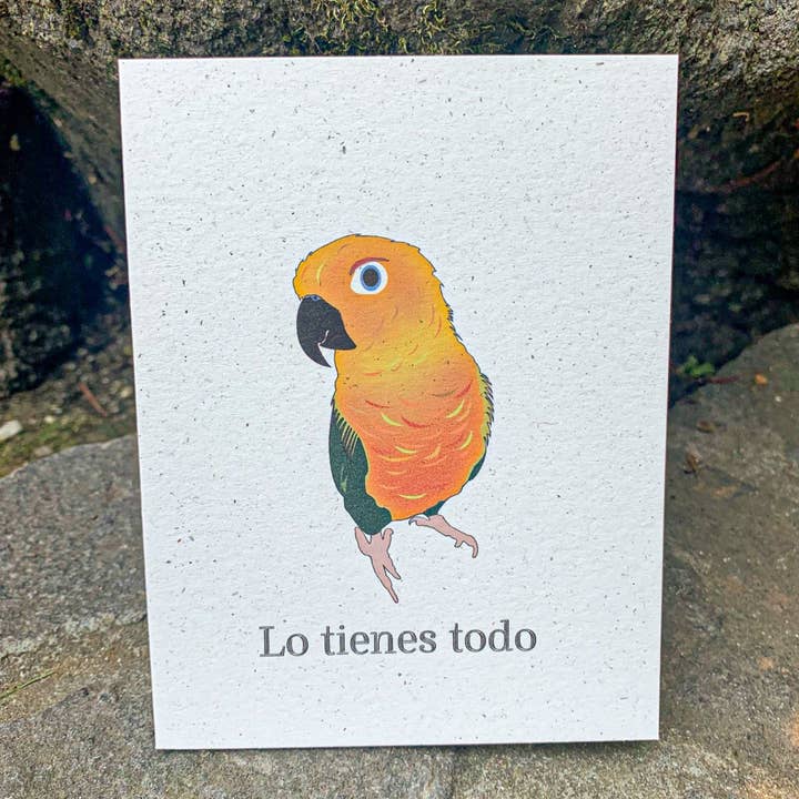 Lo tienes todo - Sun Conure für den Großhandel von Hakuna Matata Vibes