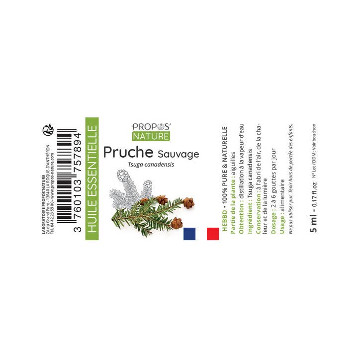 Propos'Nature - Wholesale Essential Oil - Organic Coriander Essential Oil 10ml