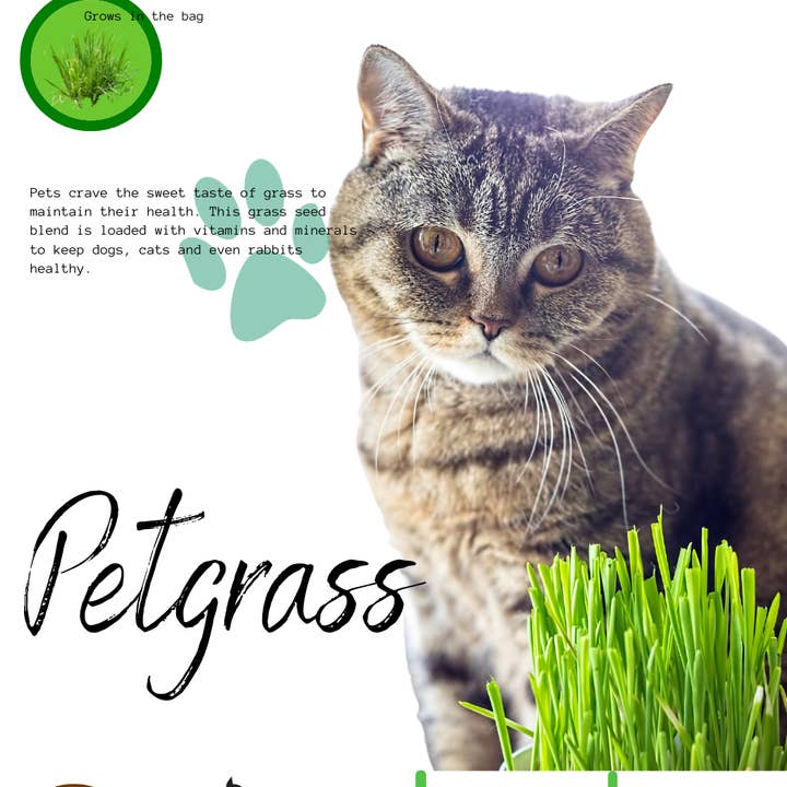 GIY Petgrass Kit for wholesale by Vitality Farms Company