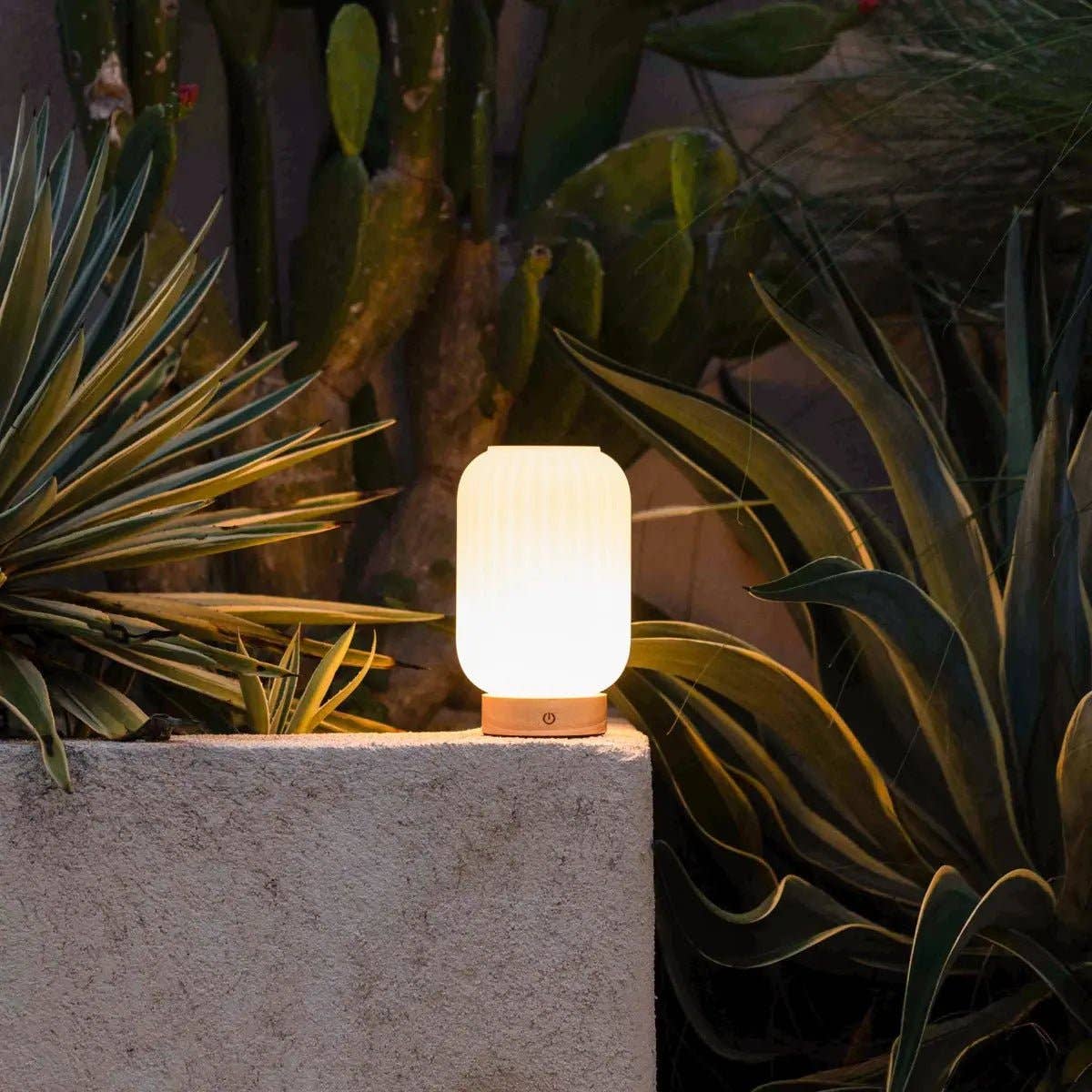 Tavellio - Wholesale Accent/Desk Lamp - Lilly Light Brown Unique Rechargeable Lamp | 3 Light Modes, Dimmable & 100-Hour Battery9