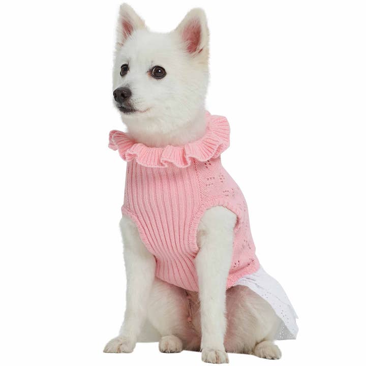 Blueberry Pet - Wholesale Pet Sweater - Dog - My Cutie Princess Ruffle Collar Dog Sweater Dress11