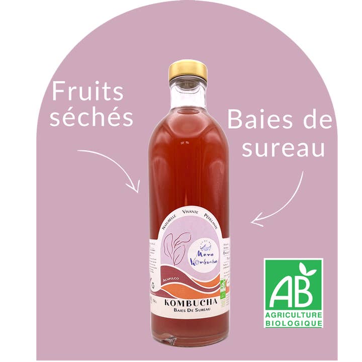 Acapulco per la vendita all'ingrosso da parte di MAMA KOMBUCHA