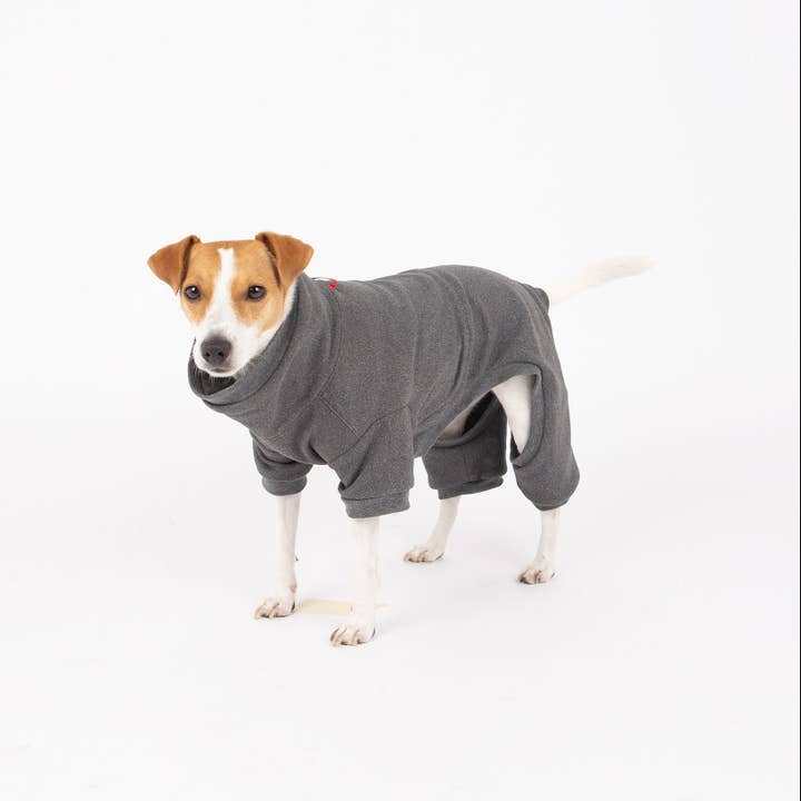 Combinaison anti-mue pour chien Sophia pour la vente par Silver Paw