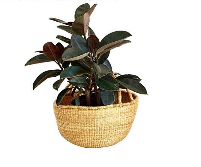 The African Home Goods - Wholesale Basket - XL African Ghana Bolga Market Basket Dye Free - 16.5"-18"1