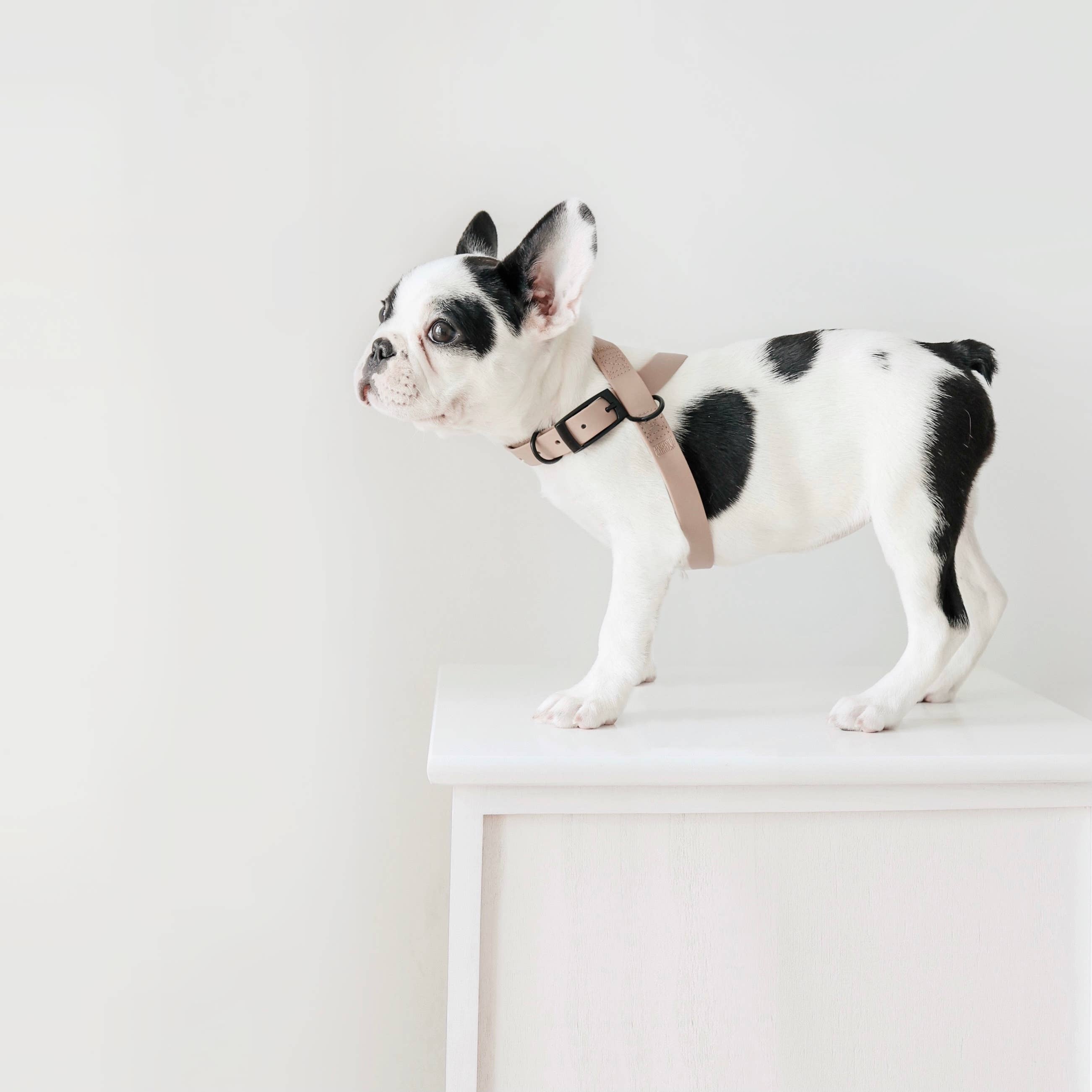 Lambwolf Collective - Venta al por mayor Arnés - Perros - OTTO | arnés impermeable en forma de 8 para perros y gatos11