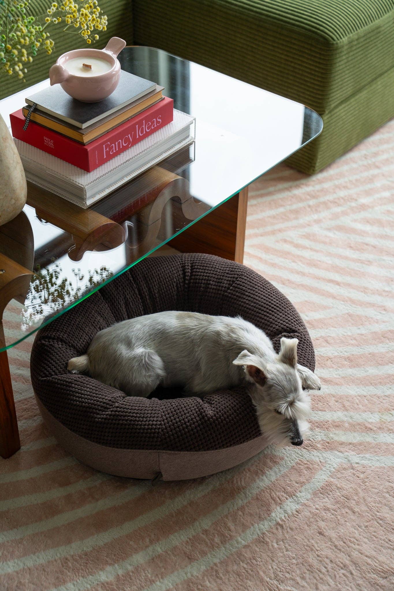 Bruin Kastanjebruine Donut Hondenmand voor groothandel op Faire5