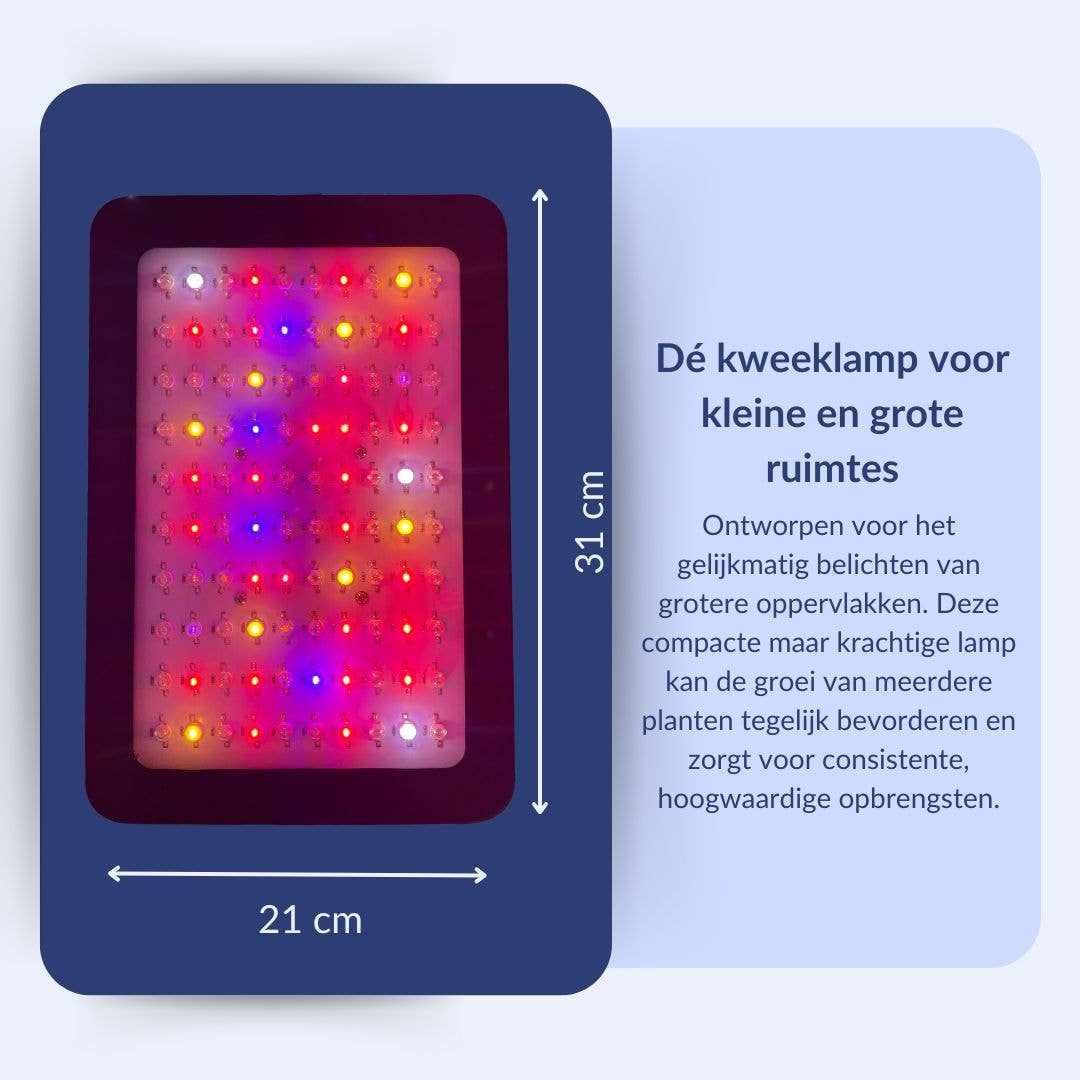 a sunny day – wholesale Ljuskrona/hängande ljus – 1000 watt tillväxtlampa med fullt spektrum, 31x21 cm10