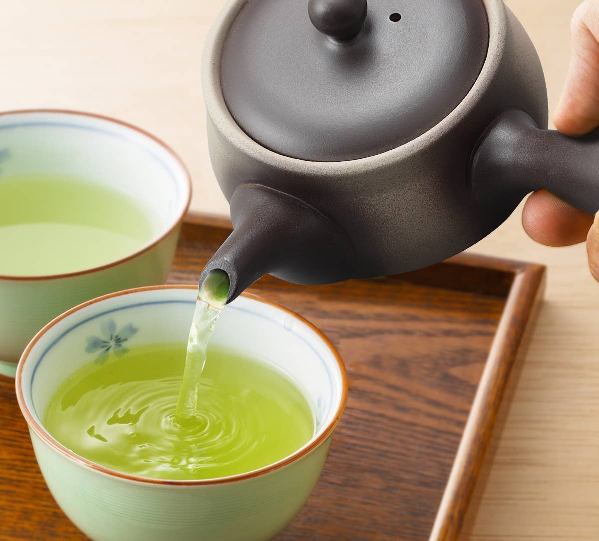 Japanese Green Tea Co. - Vendita all'ingrosso Teiere - Tokoname Yaki Kyusu teiera da 270 cc per tè Fukamushi12