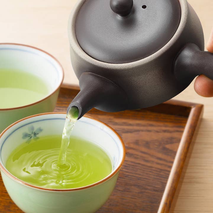Japanese Green Tea Co. - Vendita all'ingrosso Teiere - Tokoname Yaki Kyusu teiera da 270 cc per tè Fukamushi12