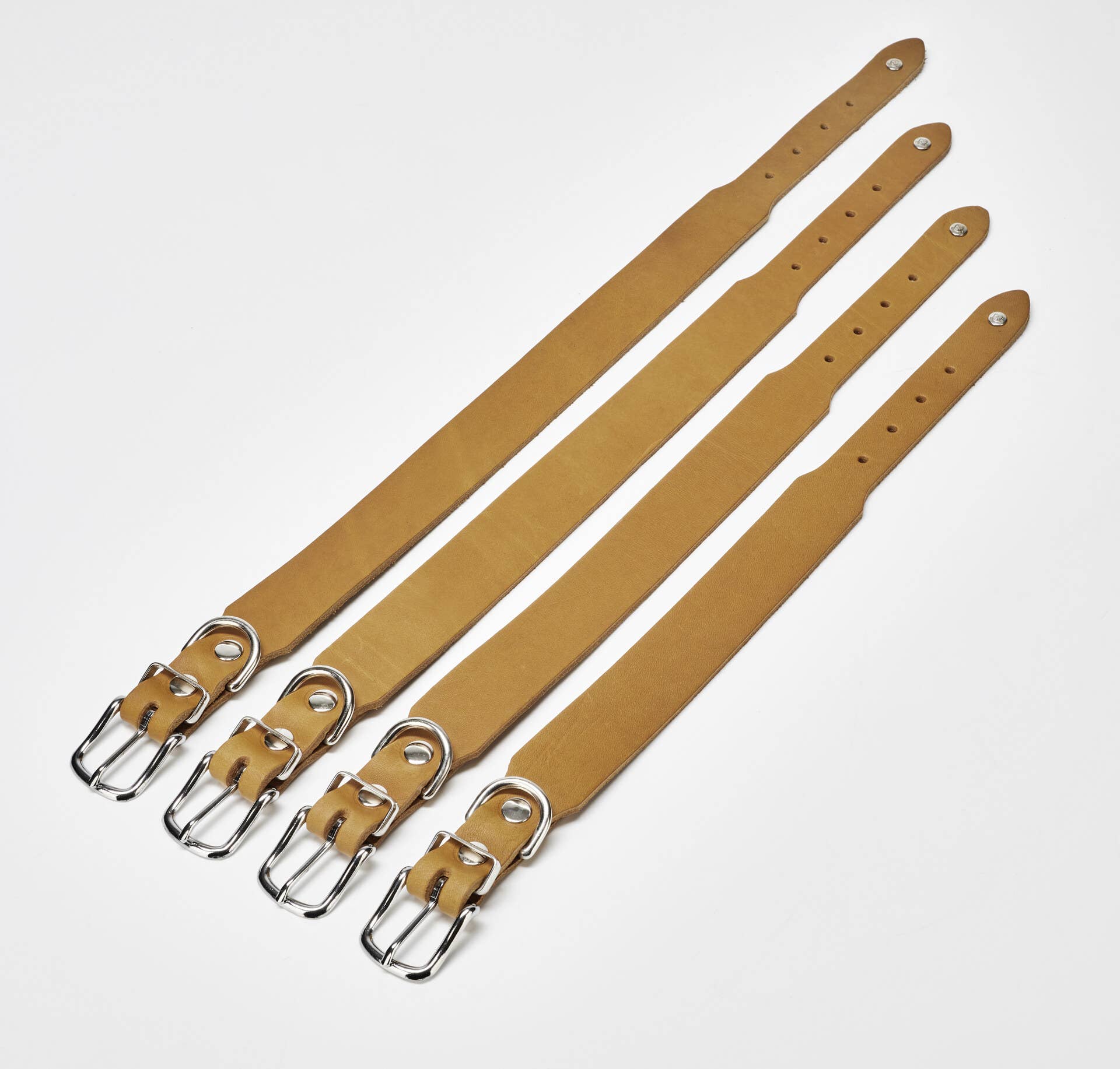 LABONI - Volentis GmbH - Vente Collier – chien - Collier pour chien GIRO en cuir souple à prise ferme23