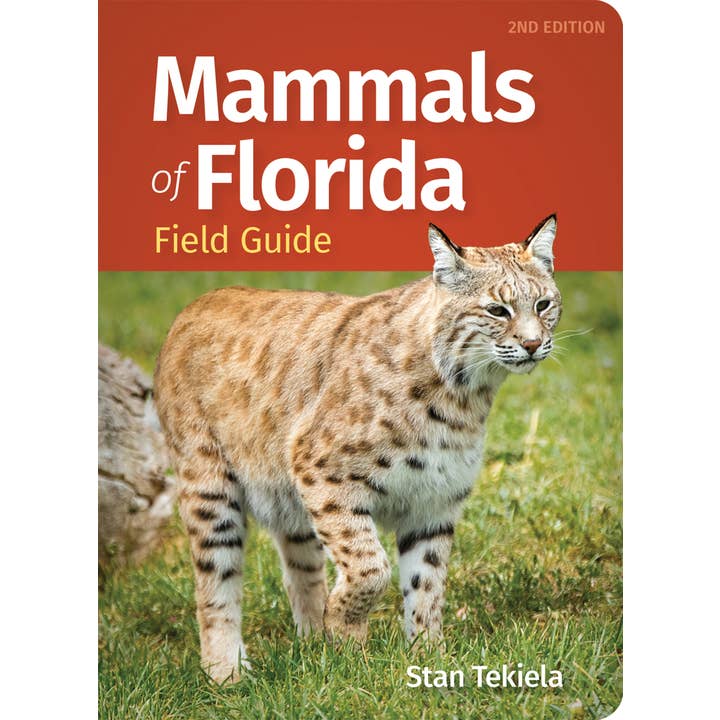Mammals of Florida Field Guide 2nd Edition for wholesale by AdventureKEEN