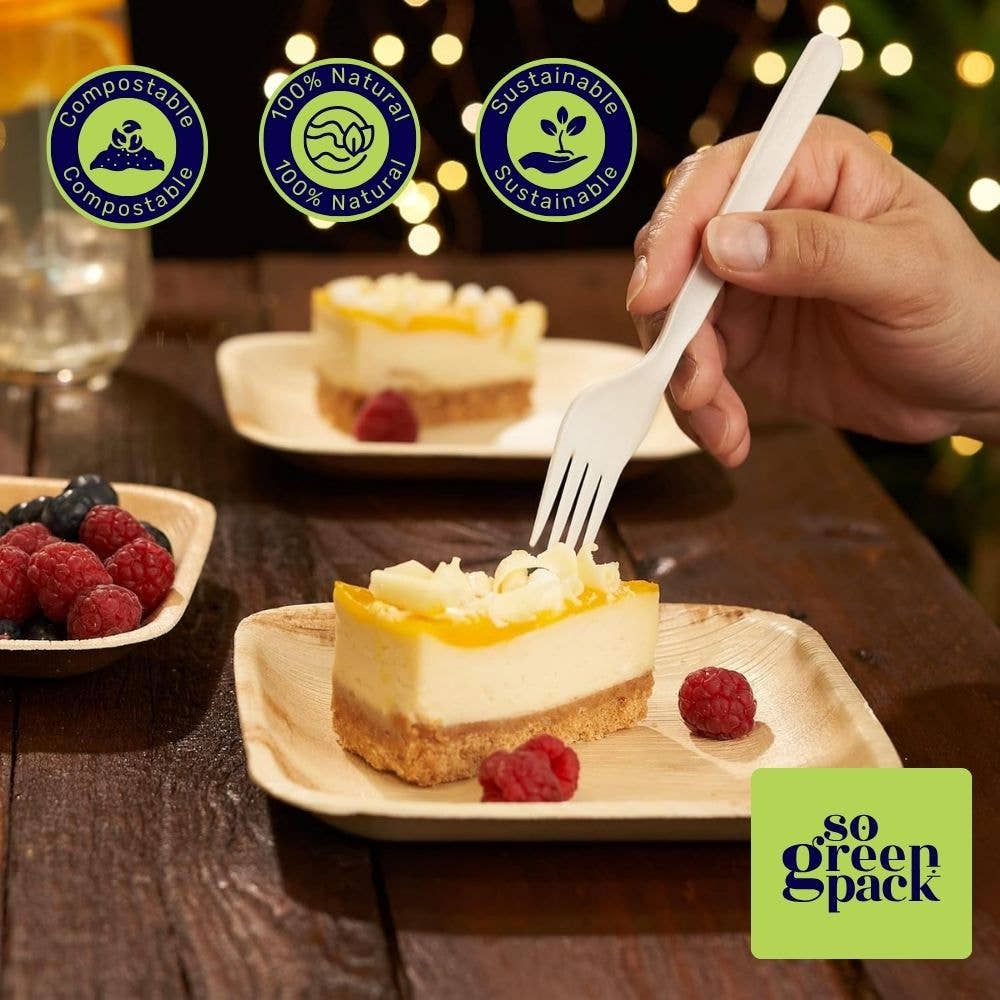 Sogreenpack - Wholesale Disposable Spoon - Compostable CPLA Cutlery Set 7" Eco-Friendly Utensil 380 Pcs4