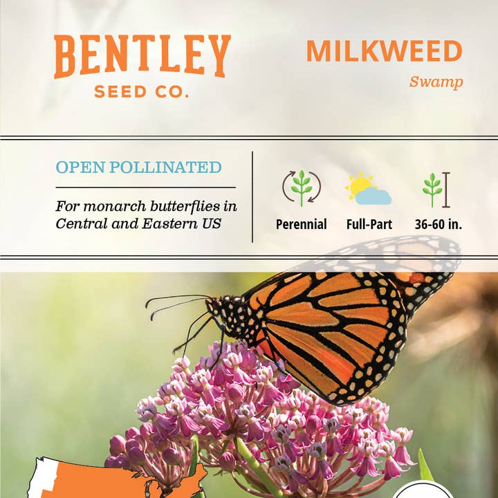Bentley Seed Co. - Wholesale Plant Seeds - Milkweed, Swamp Seed Packets