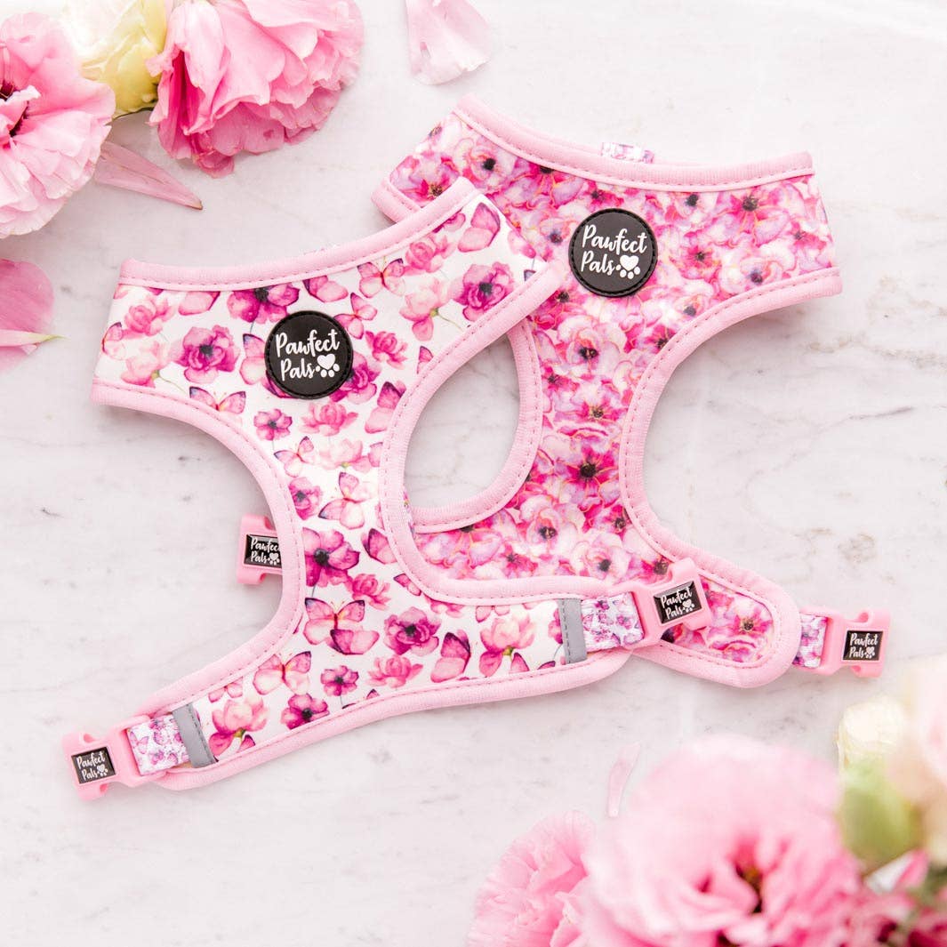 Pawfect Pals - Vente Harnais – chien - You Give Me Butterflies - Harnais réversible pour chien4