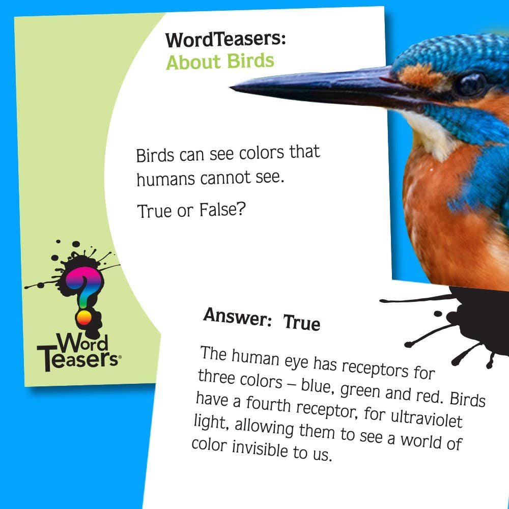 WordTeasers - Wholesale Card Game - About Birds2