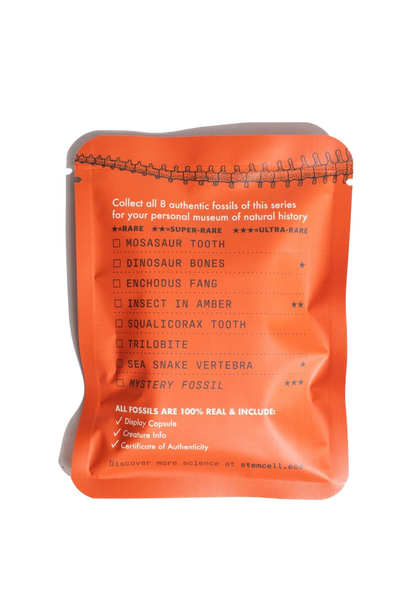 Stemcell Science Shop – wholesale Decorative tabletop object – Fossil Blind Bag2