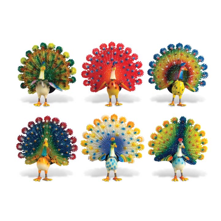 Cota Global - Wholesale Magnet - Bobble Magnet - Peacock