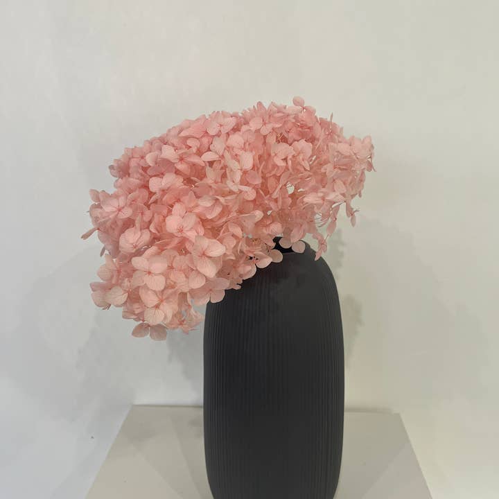 Oasis of Life - Wholesale Dried/Pressed Flowers - Panicle hydrangea preserved β 1 bunch (1β4 stems) β Real preserved hydrangeas in white, pink, purple, apricot, blue, black, yellow, or wine red β Long-lasting & maintenance-free dried flowers for vases & wreaths3