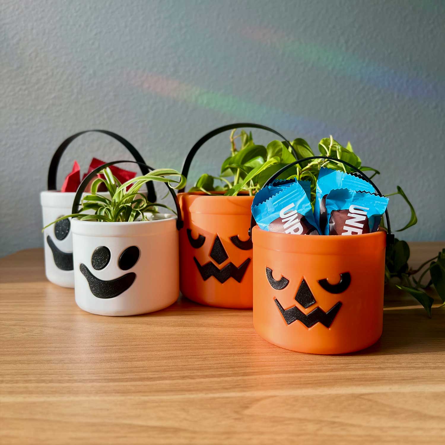 Daisy Wood Design - Wholesale Plant Pot - Mini Boo Buckets – Ghost & Pumpkin Halloween Decor0
