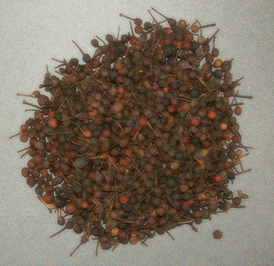 Richesses Naturelles - Wholesale Pepper/Peppercorns - Wild Pepper from Madagascar 50g1