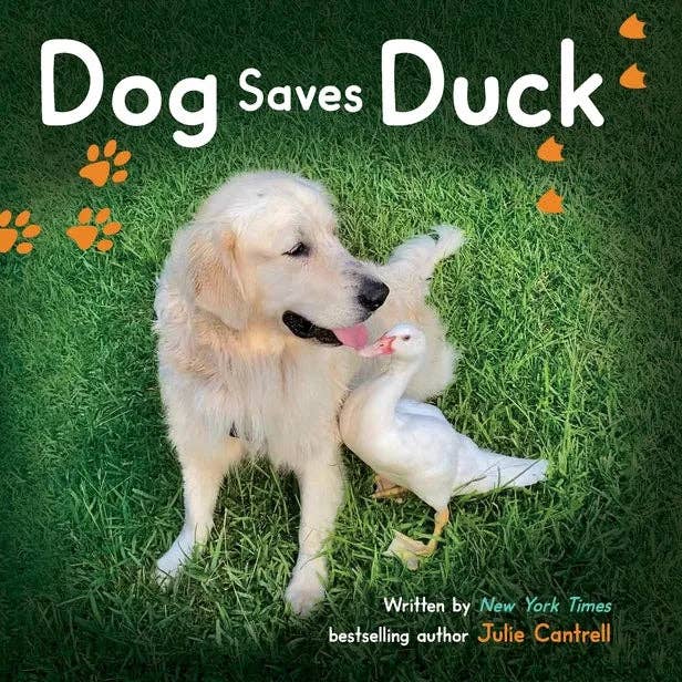 Books by splitShops - Wholesale Book - Kids - Dog Saves Duck - Hardcover