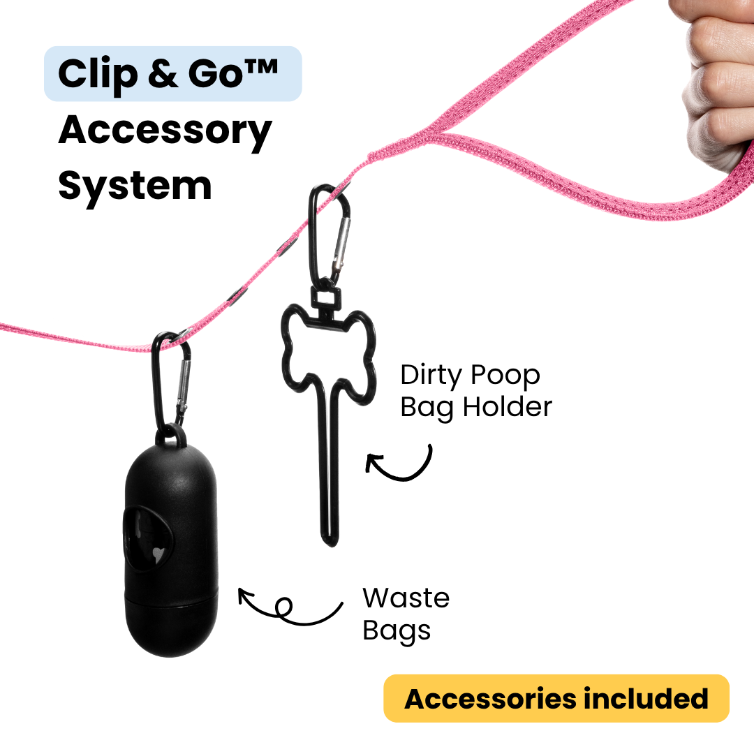 StitchLeash - Wholesale Pet Leash - Dog - StitchLeash® Bryce Clip & Go™ Flat Nylon Leash – Pink | 6 ft | 24 per case3