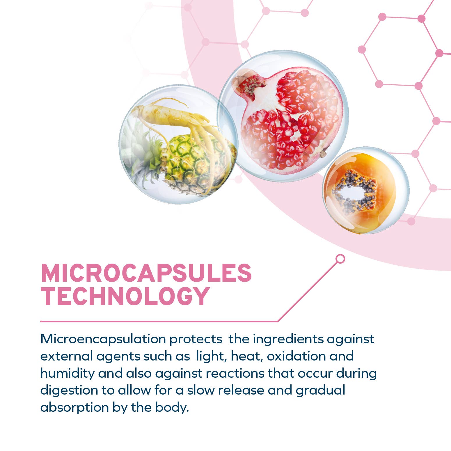 Forza10 Pet Food - Wholesale Pet Food - Dog - FORZA10 DAILYPRO MAINTENANCE MEDIUM BREED GRAIN-FREE4