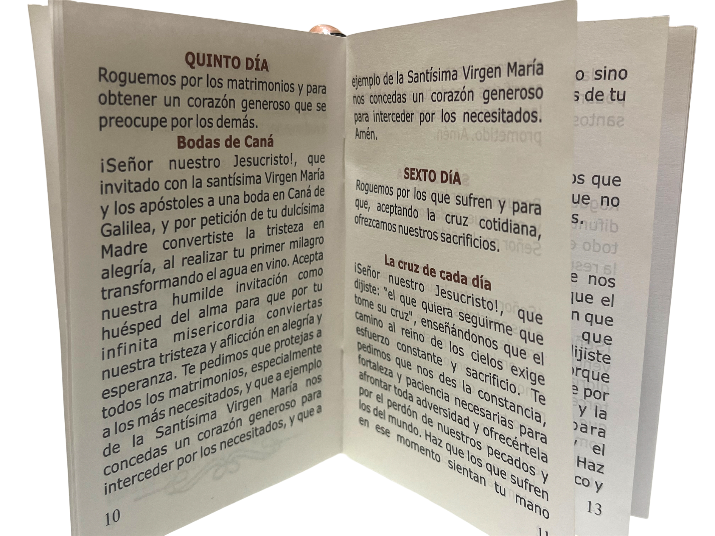 SAN JUDITAS RELIGIOUS ARTICLES - Vente Livre – adulte - NEUVAINE ET TRIDUUM EN L'HONNEUR DE NOTRE SEIGNEUR DU VENIN1