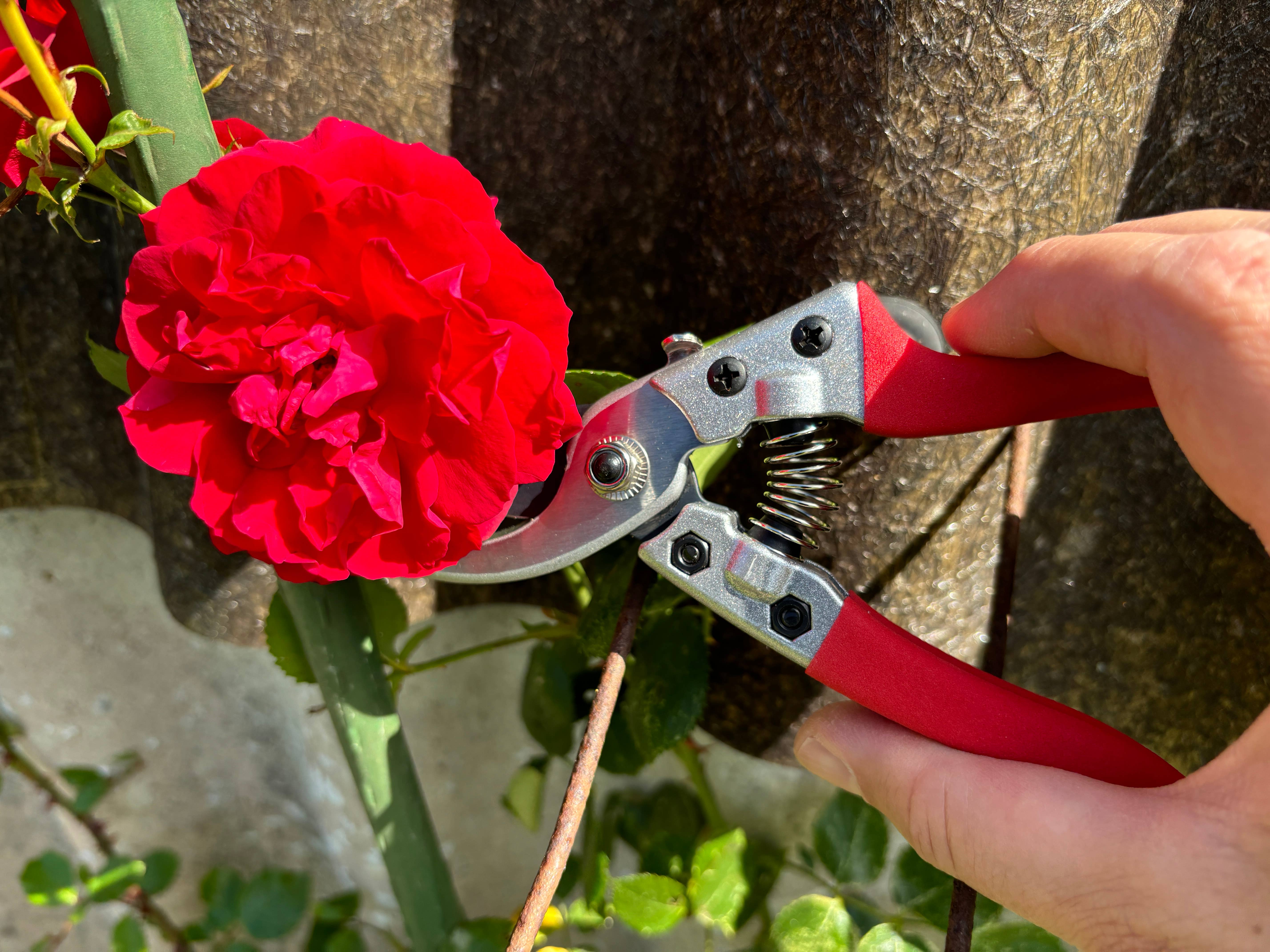 Gärtnertraum – wholesale Trädgårdsverktyg – Grensax - Sekatör9