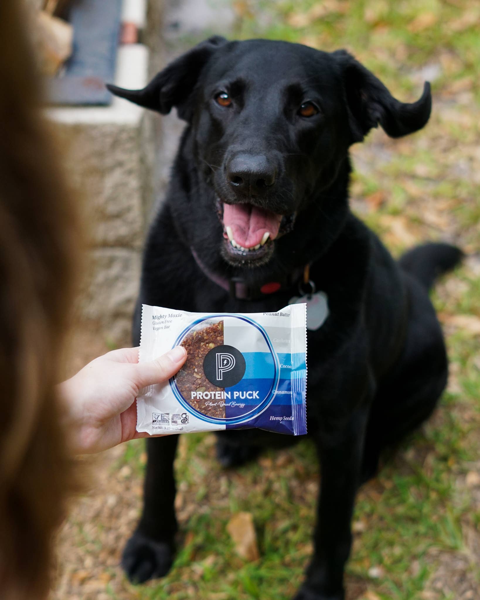 Protein Puck - Wholesale Snack Bar - Mighty Moxie (Cocoa, Cashew, Cinnamon) (16 - 3.25oz Bars)14