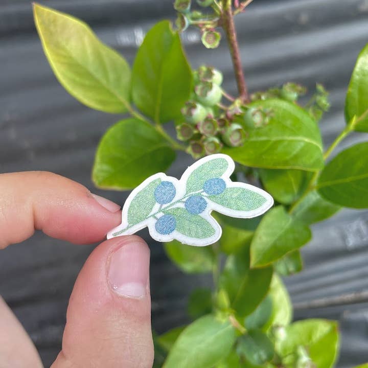 Blåbær Sticker for engroshandel hos Matthew Goetzka ~ The Patient Artist