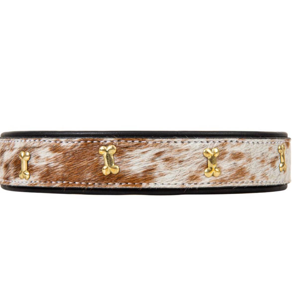 The Sterling Gypsy - Wholesale Pet Collar - Dog - Cowhide and Leather Western Dog Collar Cow Farm Dog Show Dog2