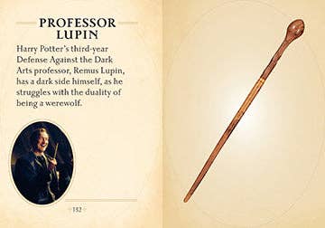 Insight Editions - #1 Pop Culture Publisher - Vente Livre à exposer - Harry Potter : Le mini-livre des baguettes6