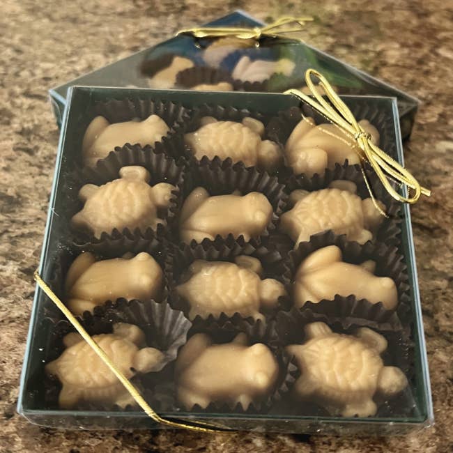 Maple City Candy - Wholesale Chocolate Box - Pure Vermont Maple Candy - Frogs & Turtles Gift Box - 12 Piece, 3.6 oz.