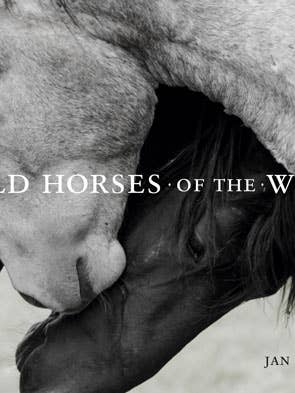 Wild Horses of the West : photography coffee table book for wholesale by Gibbs Smith