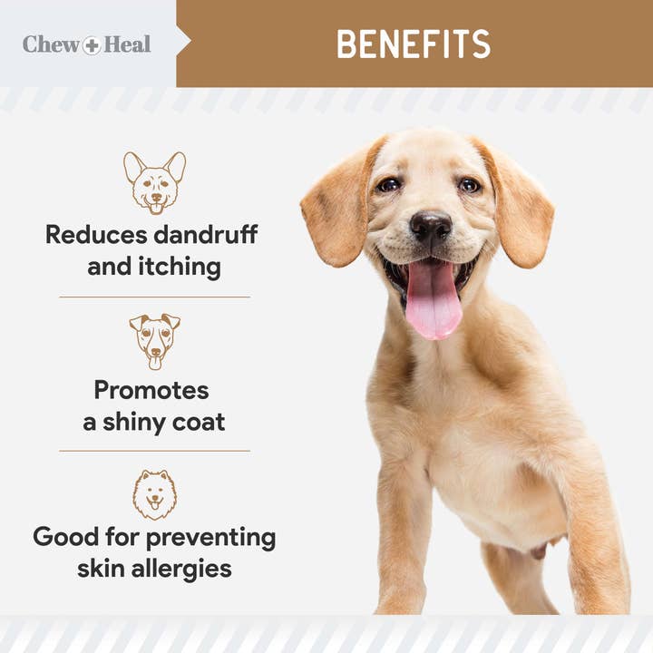 Chew + Heal - Wholesale Pet Supplement - Dog - Chew + Heal Peanut Butter Omega Skin + Coat Dog Soft Chews6