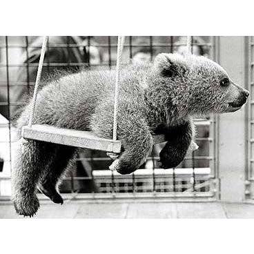 Bear Hanging for wholesale by Retrospect Greeting Cards
