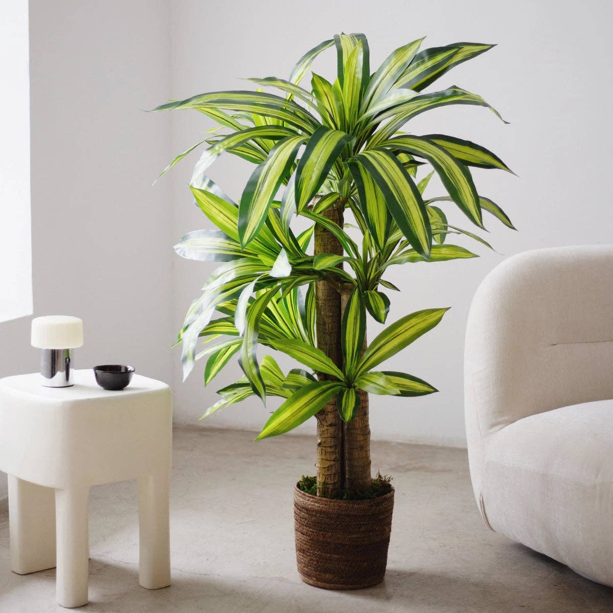 Maia Shop - Wholesale Plant Pot - Gaia Wicker Flowerpot5