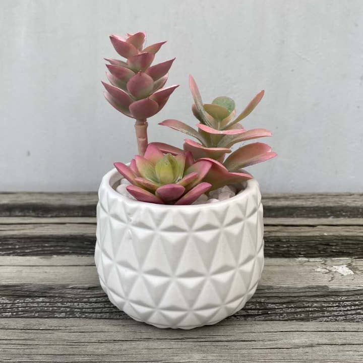 White Ceramic Geometric Mini Succulent for wholesale by Flora Bunda Inc