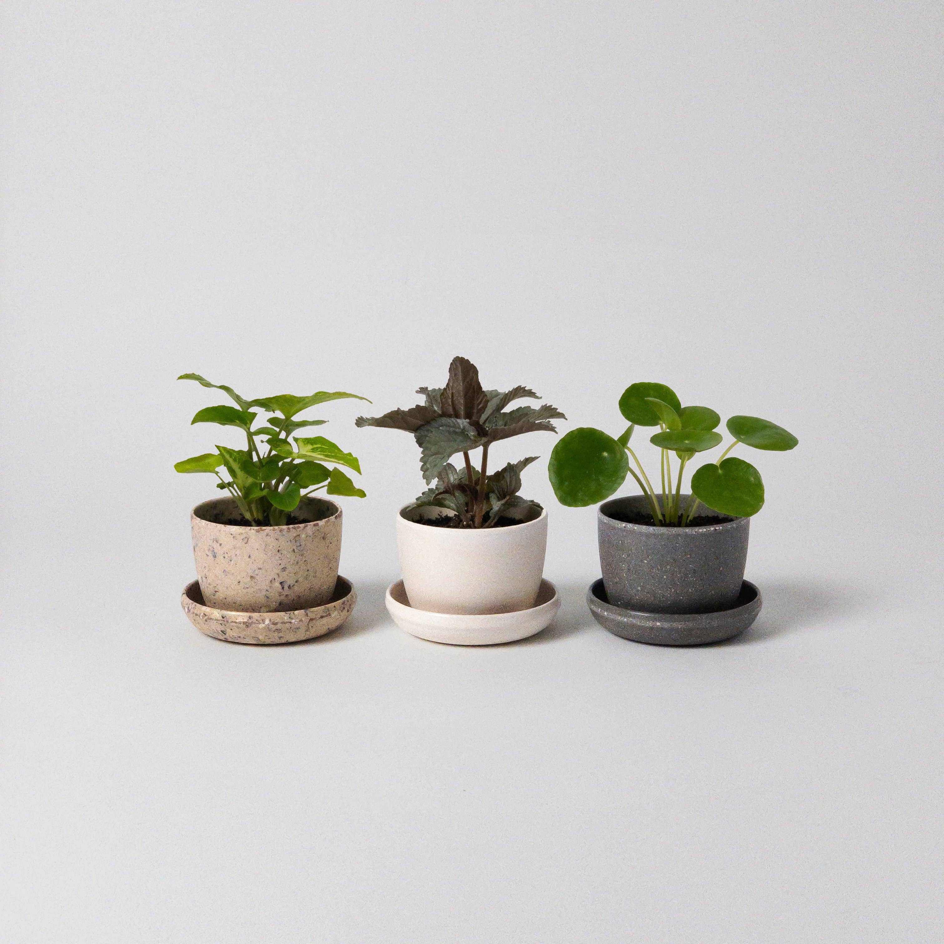 Kanso Designs - Wholesale Plant pot - Three Set | Mini Planters Harmony Set1