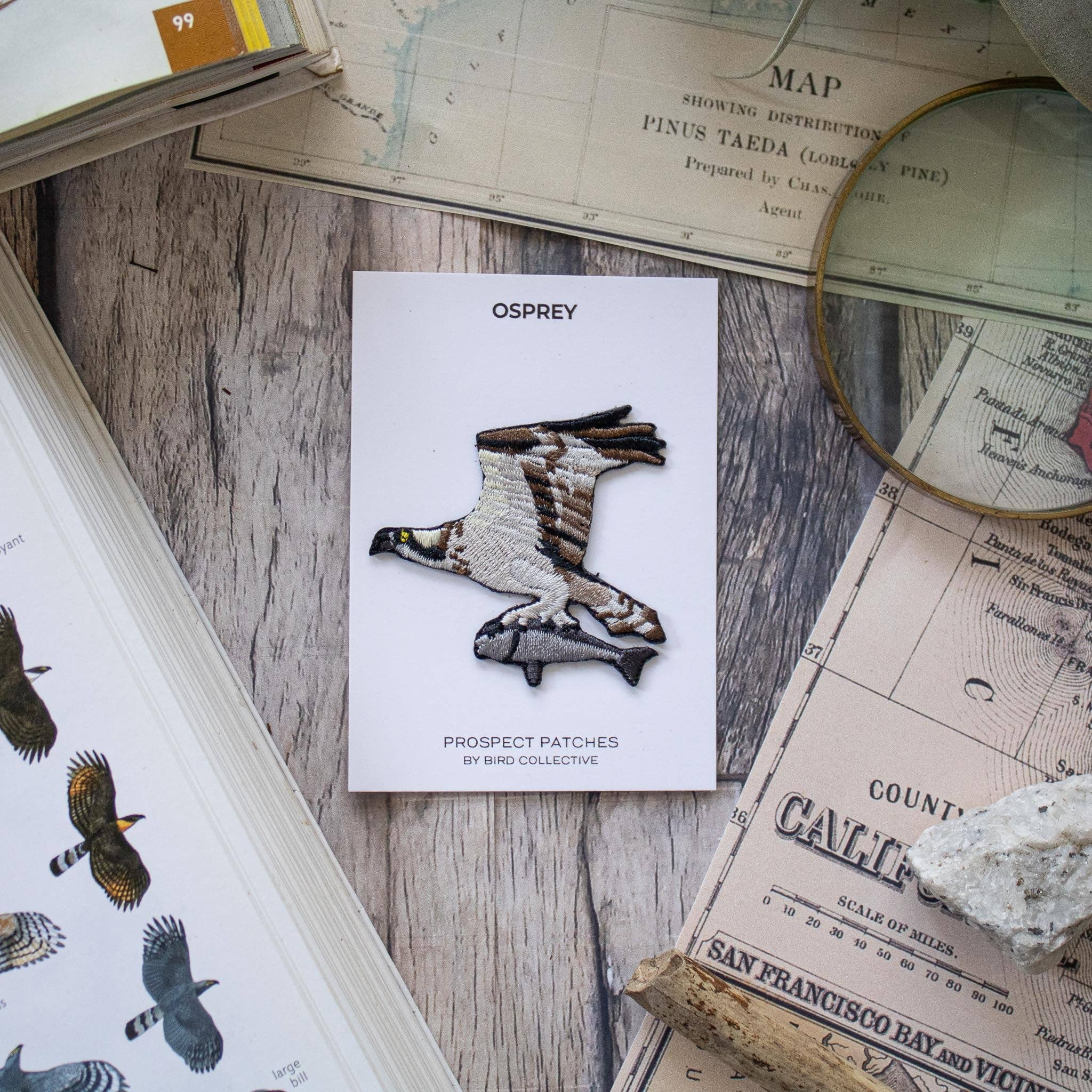 Bird Collective - Wholesale Patch - Osprey Patch3