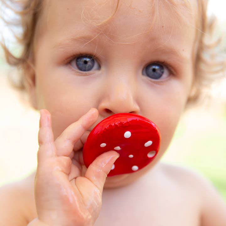 Oli & Carol - Wholesale Teether (Not Clip-On) - Baby - Spotty the Mushroom3