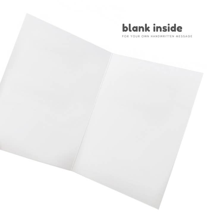 Sleazy Greetings - Wholesale Birthday card - Stevie Wonder Funny Birthday Card1