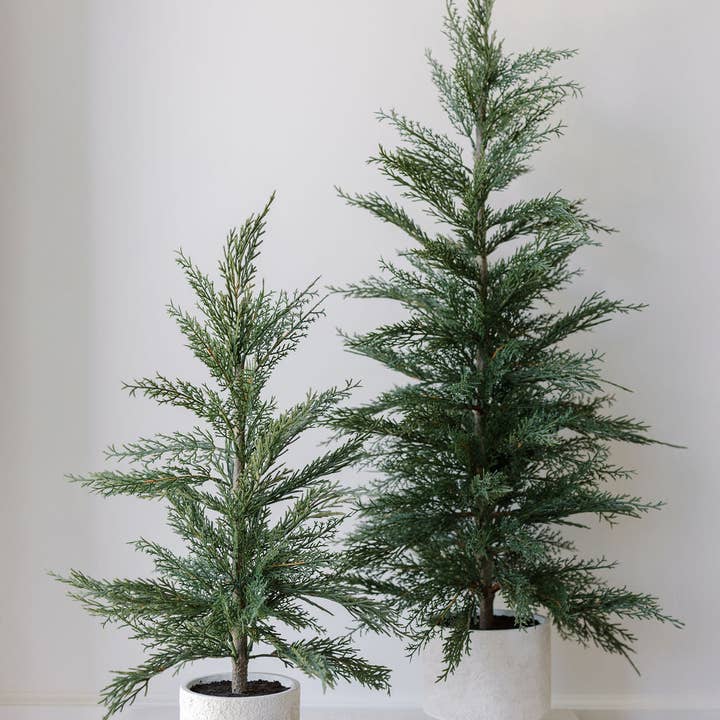CG Hunter - Wholesale Artificial Plant - Cedar Tree with Cream Pot