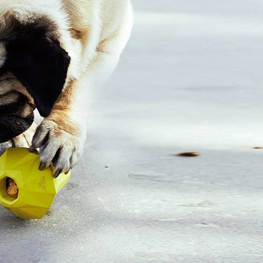 Zee.Dog - Wholesale Pet Toy - Dog - Super Pear | Dog Toy